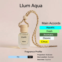 Aqua Hanging Car Air Freshener
