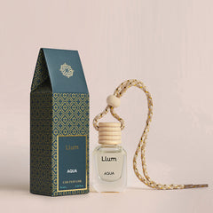 Aqua Hanging Car Freshener