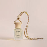 Aqua Hanging Car Freshener