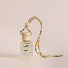 Aqua Hanging Car Freshener