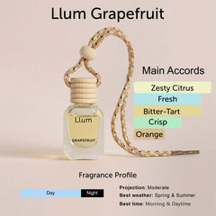 Grapefruit Hanging Car Freshener