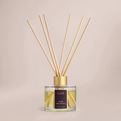 Plum Patchouli Reed Diffuser 100ml