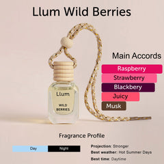 Wild Berries Car Freshener With AC Vent Clip