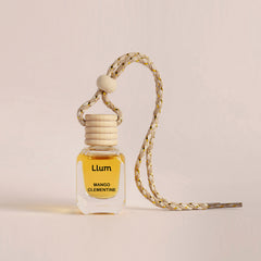 Mango Clementine Hanging Car Air Freshener