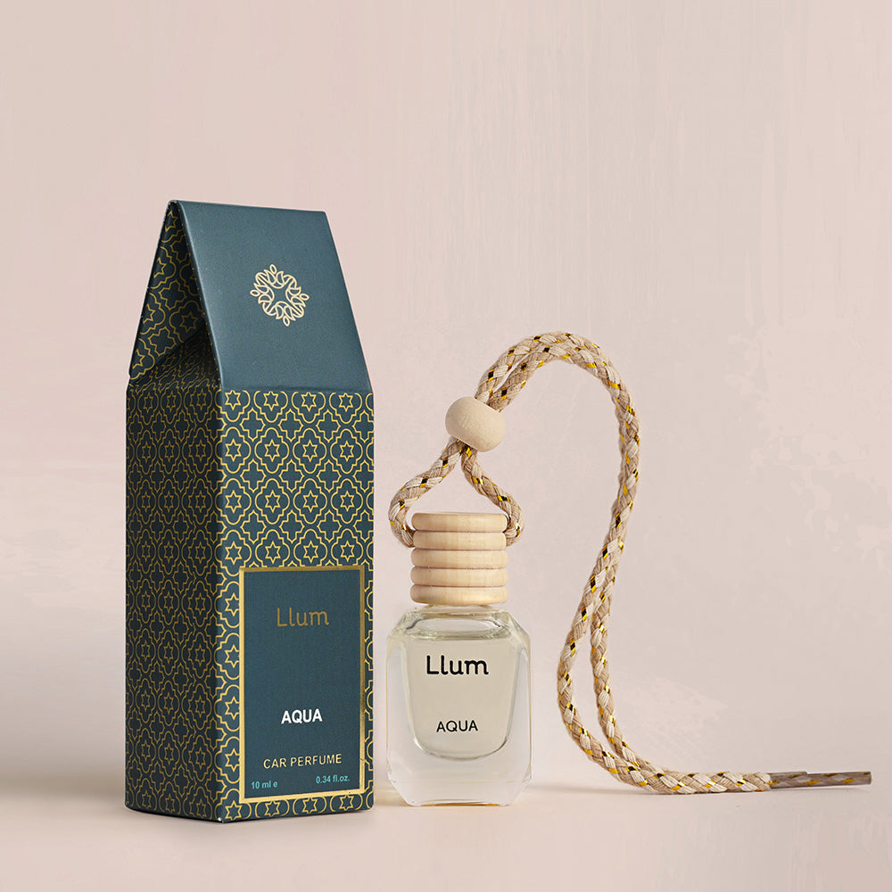 Car Freshener: How to Choose the Perfect Scent for a Better Driving Experience