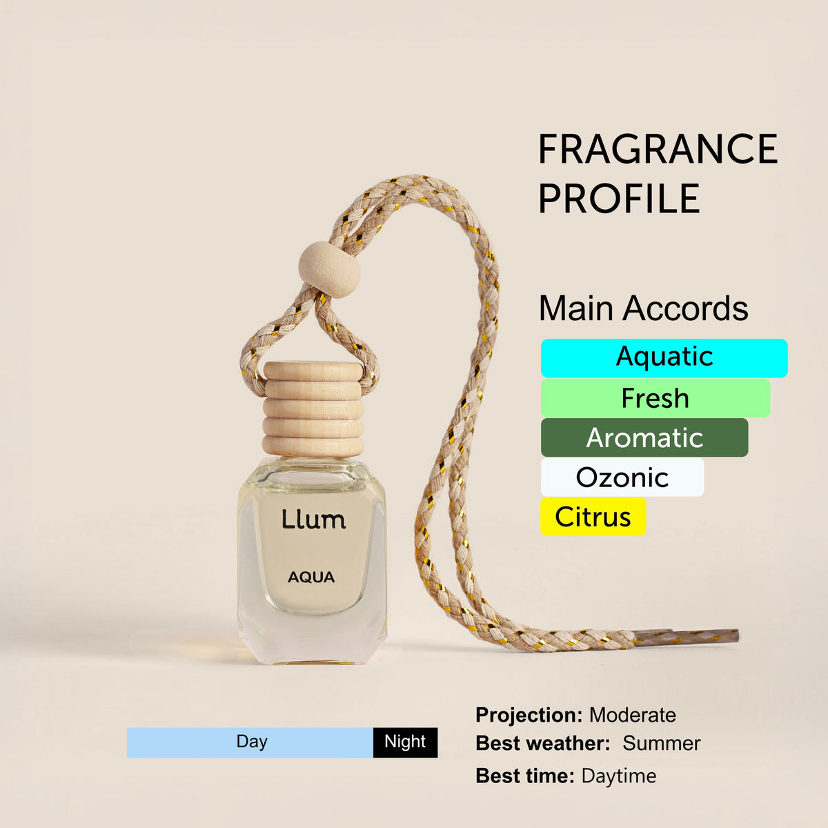 Aqua Hanging Car Air Freshener