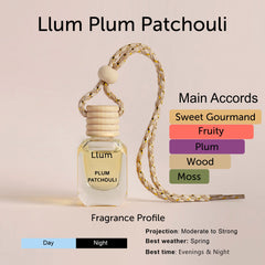 Plum Patchouli  Car Freshener With AC Vent Clip