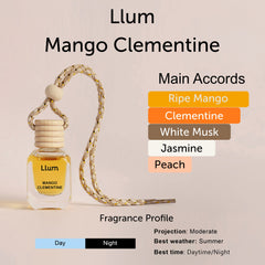 Mango Clementine Hanging Car Air Freshener